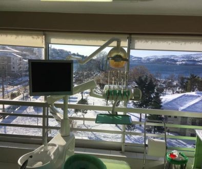 snow_dentist